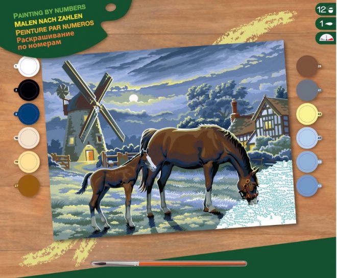 Evening Pasture, Senior Painting by Numbers