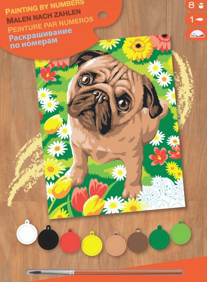 Pug, Junior Painting by Numbers