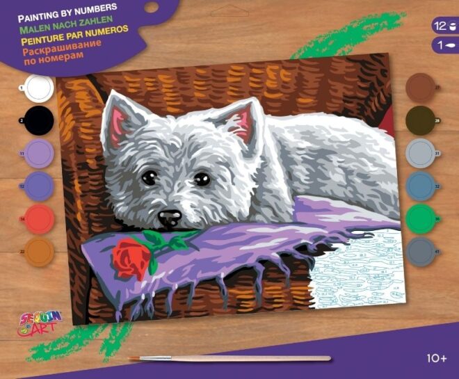 Romeo, Senior Painting by Numbers