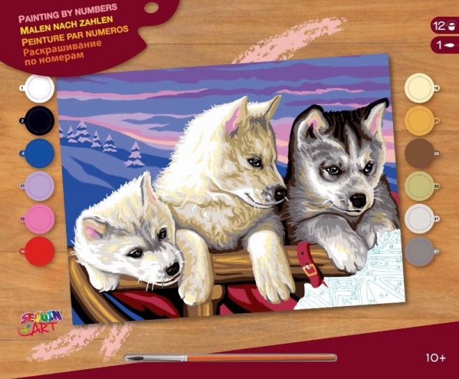 Huskies, Senior Painting by Numbers